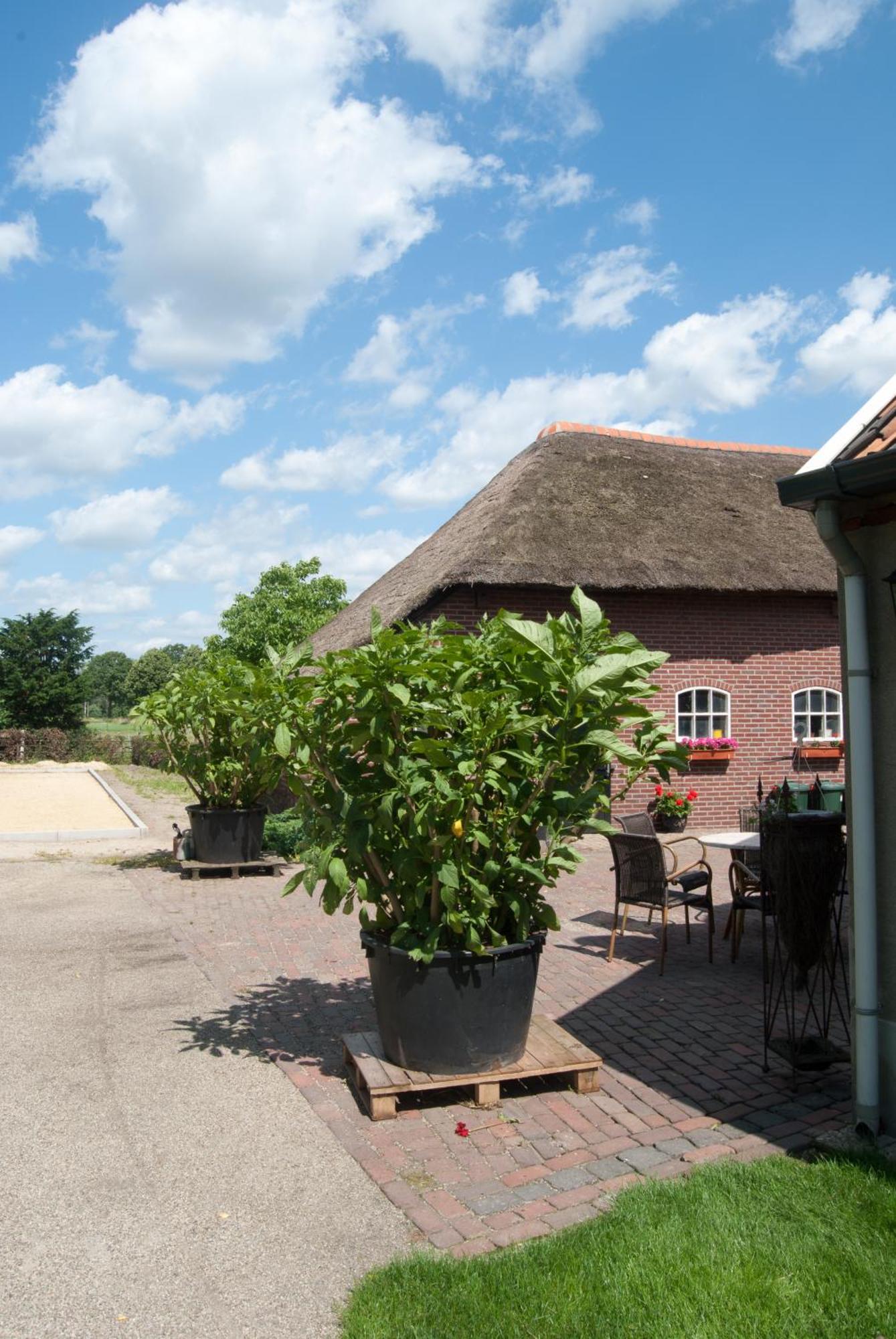 De Martiene Plats - Bed & Breakfast Merselo Exterior foto
