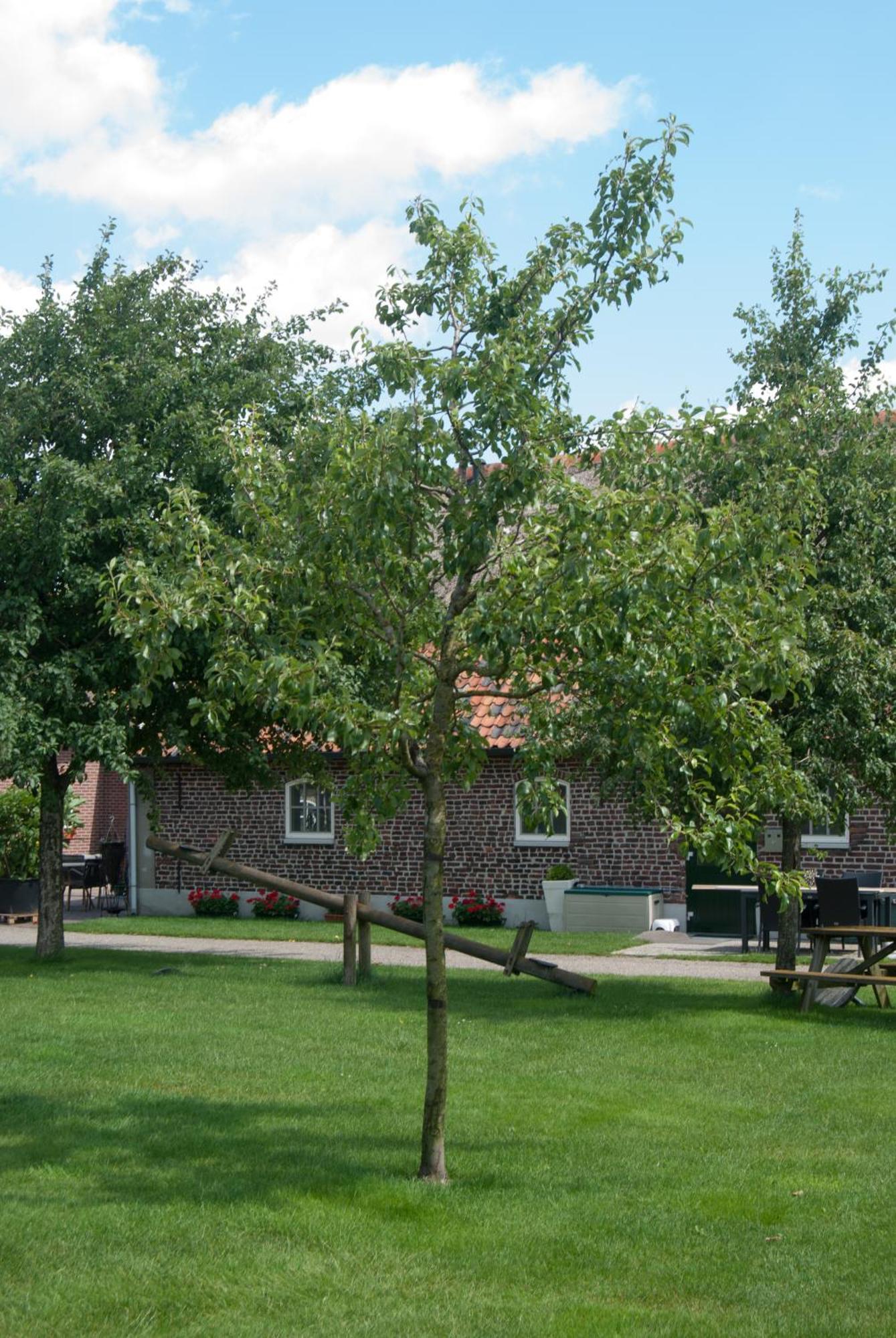 De Martiene Plats - Bed & Breakfast Merselo Exterior foto